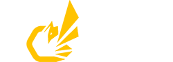 HORNET-AIR LOGO